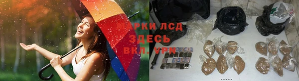 соль ск Пролетарск