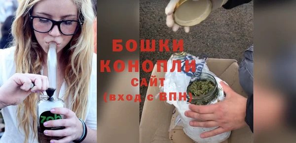 ПСИЛОЦИБИНОВЫЕ ГРИБЫ Рославль